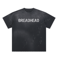 BREADHEAD Frayed Sunfade Paint Splatter T-Shirt